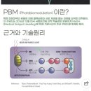 맘스휴테라피 | 젖몸살예방, 임산부 사용가능한 맘스PBM B패드 젖몸살푸는방법