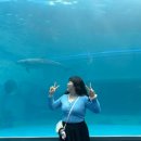 궁 노래주점 | ~10.19 알찬 일주일 보내깅 🐬
