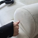 개는훌륭하다쇼파청소 &#39;내가제일깨끗해&#39; 후기