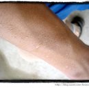 흥덕면자전거길자전거길 | 다시 여행길에 오른 눈바기...어느세 11일째..