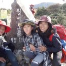 윤자농장 이미지