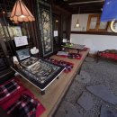 두꺼비 애견 이미지