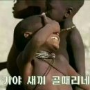 도그맥스