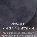 은하 인셀덤