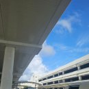 뉴코아아울렛 앞 횡단보도 | 🫧OKINAWA🫧