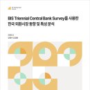 BIS Triennial Central Bank Survey를 사용한 한국 외환시장 동향 및 특성 분석 이미지