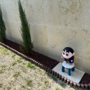 머물다 주도 이미지