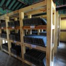 영주 부석사 오불회 괘불탱 이미지