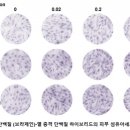 넥스젠 - 성남시 중원구 둔촌대로 400 | 넥스젠