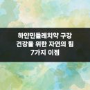 도담민들레치과의원 | 하얀민들레치약 구강 건강을 위한 자연의 힘 7가지 이점