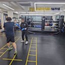 복싱 바이러스 체육관 | [운동 맛집] 동양동 복싱 복싱 바이러스 동양점 방문 후기