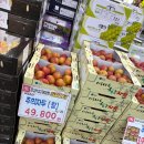 은성식자재마트 | 은성식자재마트 운정점 은성마트 다녀온 후기 매장 내부 분위기 세부 정보 공유