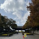 달성공원 | 8개월아기와 가볼만한곳 | 대구 달성공원 가을나들이 후기