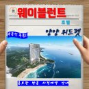 양양이펫 네이버블로그