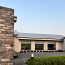 솔리,자운 이미지