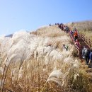 ★10/22(일) 100대명산 장수 장안산 억새&amp; 단풍 정기산행[상원대장] 이미지