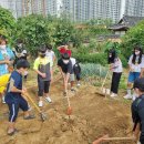 함현초등학교 이미지