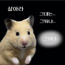 쥬&#39;s 36답