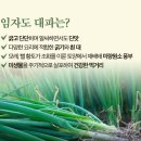 다한농장 이미지