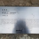 돈키호테-무식한 소 이미지