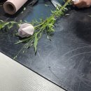 라페플라워(Lafee Flower)