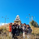 한결카써비스 | 제주 렌트카 기사포함 제주도 관광택시 이용 후기