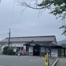 멍미뇽 | [후쿠오카D+4,5] 역시 사람은 도시로 보내라. 후쿠오카 시골 탈출기 | 돈키호테, 로피아, 캐널시티