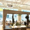 펠리체빈 이미지