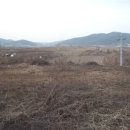 마전주유소 이미지