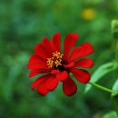 BY연주