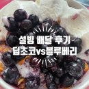설빙충남 - 태안군 중앙로 139 | [설빙 배달 후기] 딥초코브라우니 & 순수요거블루베리설빙, 밥값보다 비싸지만 포기 못 하는 맛!