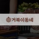 거북이야채