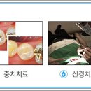 서울임치과의원 이미지