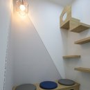 다온동물병원 이미지