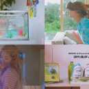 프란시스 이미지