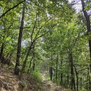 대구달성군.용문산602m25.8.28(목)화원명곡.원등.까치1봉.2봉.용문산.함박산.작약봉.기산.반송1리회관12.6km4시간.10분 이미지