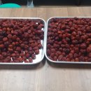 해피발전소 이미지