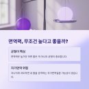 강화식품