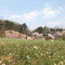 윤승농장 이미지