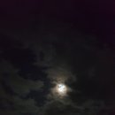 제주이디 이미지