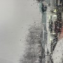 1.14.일.호남고속도로 휴게소에서 만난 비와 사람들이 만들어낸 예술작품 사진! 마치 캔버스 위 유화처럼 아름답다. 이미지