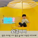 이마트24 동광주점 | 광주 북구 키즈카페 와글아이 동광주홈플러스점 대형 실내놀이터 추천