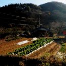 라온사랑부동산공인중개사사무소 Daum카페