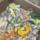 노원-공릉-노원-(다)003390 | 공릉 맛집 미랑샤브 노원본점, 편백찜부터 소고기 무한리필까지 완벽했던 외식 후기