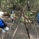 (주)나무 이미지