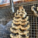 장어의꿈 이미지