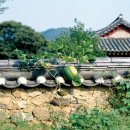 99모텔 이미지
