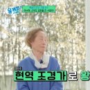 땅조경 이미지