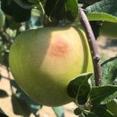 (주)동서기공 | 제28호 주간농사정보