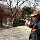 오뉴월 개팔자 이미지